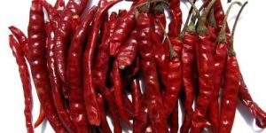 Dried Red Chilli