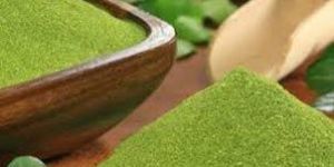 Moringa Powder