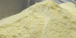 Milk Powder