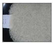 Pusa White Sella Basmati Rice