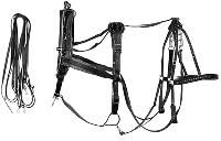 Horse Harness