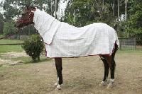 Poly Summer Combo Rug