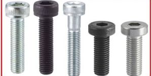 Allen Cap Bolt
