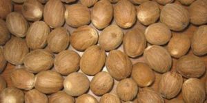 Nutmeg