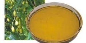 Neem Oil