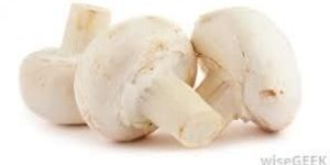 Fresh Button Mushroom