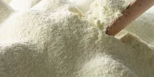 Milk Powder