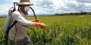 Pesticides