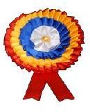 Cloth Badge