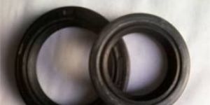 Engine Oil Seal