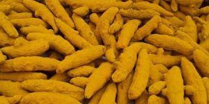Salem Turmeric Finger
