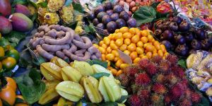 Exotic Fruits