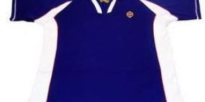 Mens Sport Polo T Shirt