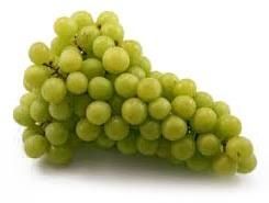 Fresh Grapes