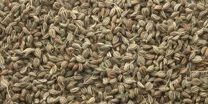 Ajwain Seeds