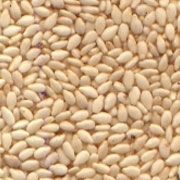 Sesame Seeds