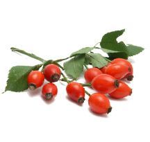 Rosehip Oil