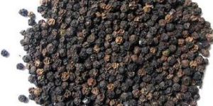 Black Pepper Seeds