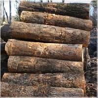 Hardwood Logs