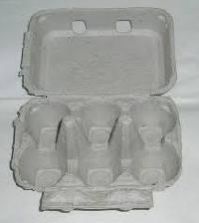 6 Eggs Moulded Pulp Paper Egg Tray