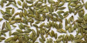 Fennel Seeds