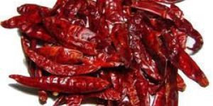 Dried Red Chilli