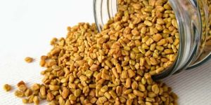 Fenugreek Seeds