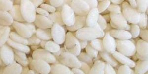 Hulled Sesame Seeds