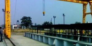 Heavy Duty Goliath Crane