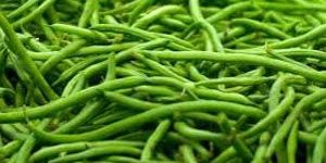 Fresh String Beans