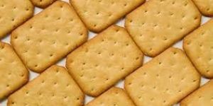 Salted Biscuit