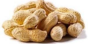 Shelled Peanuts