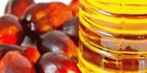 Palm Oil