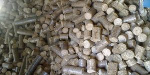 Biomass Briquettes