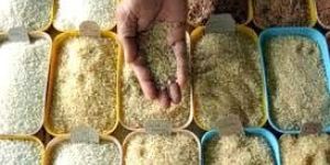 Non Basmati Rice