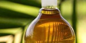 Palm Oil