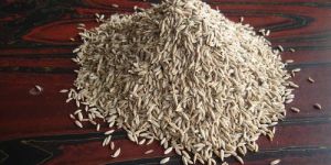 Cumin Seed - Jeera