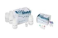 Real Time PCR Kits