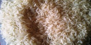 IR36 Parboiled Rice