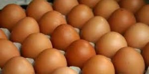 Brown Eggs