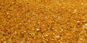Corn DDGS