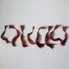 Red and Brown Double Drawn