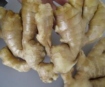 Dry Ginger