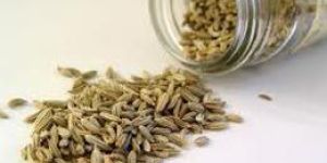 Fennel Seeds