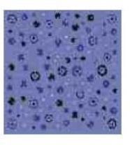 Special Stone Series Floor Tiles