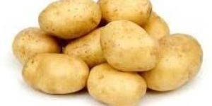 Fresh Potato
