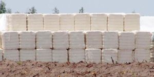 Cotton Bales
