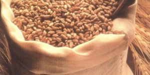 Wheat Bags