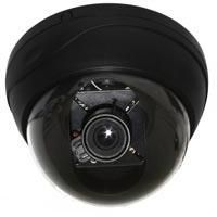 Dome Camera 480 TV Lines