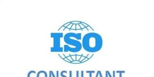 ISO Consultant